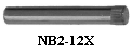 NB1-12